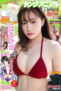 电视剧美女如云